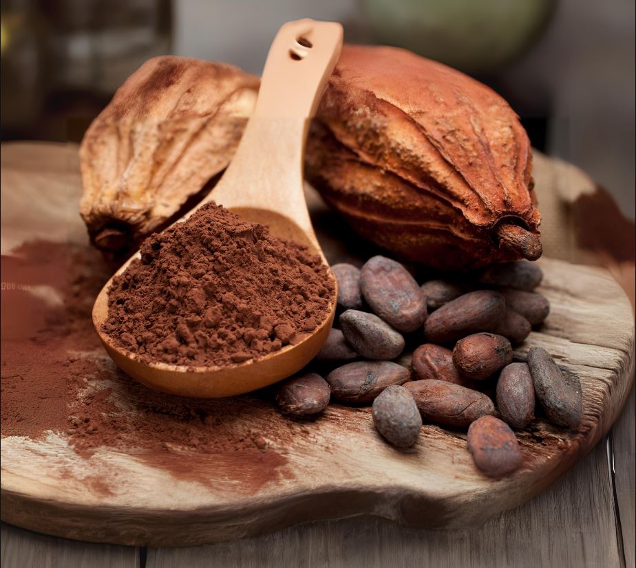Cacao en polvo ecológico puro La Gloria Mediterránea