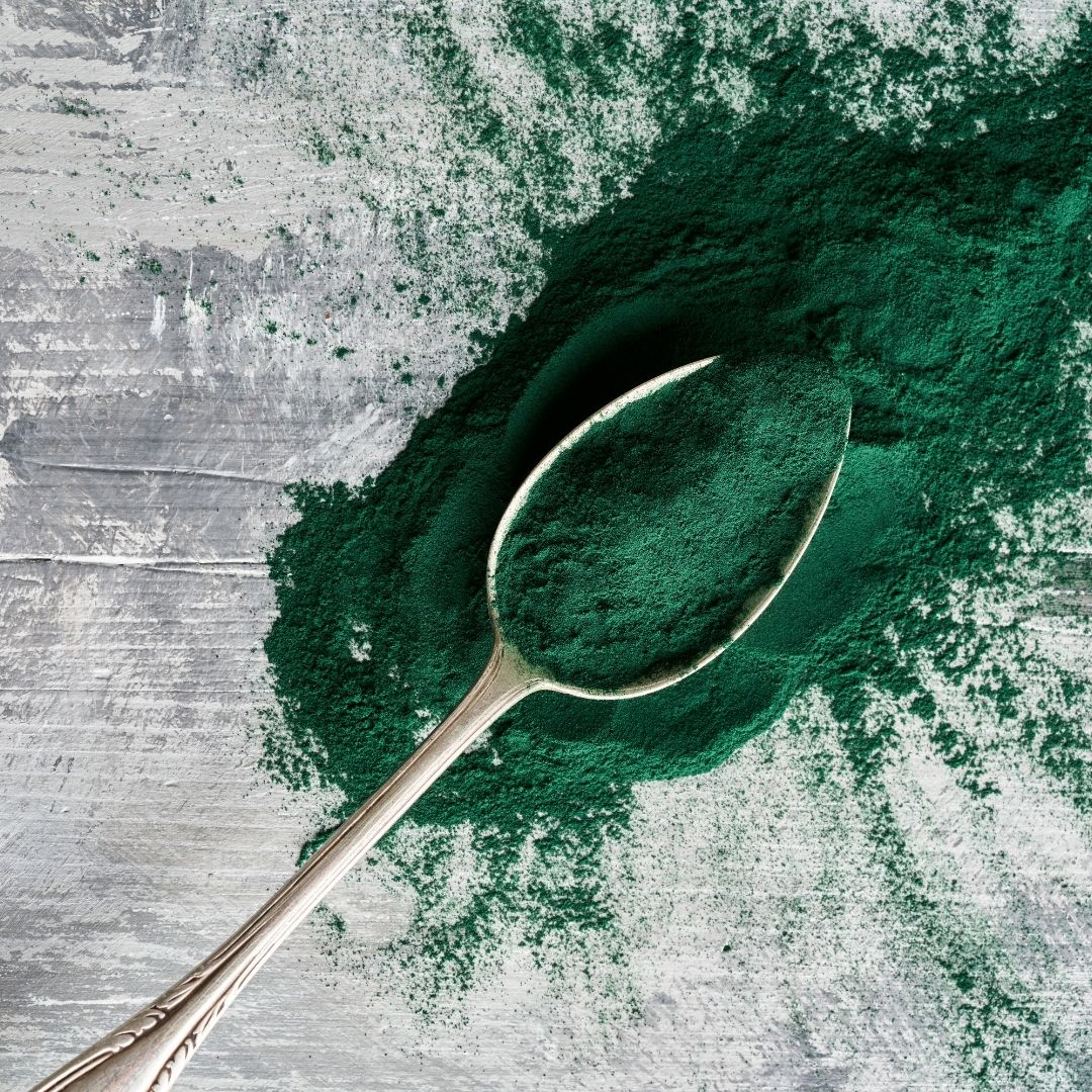 Espirulina ecológica en polvo La Gloria Mediterránea